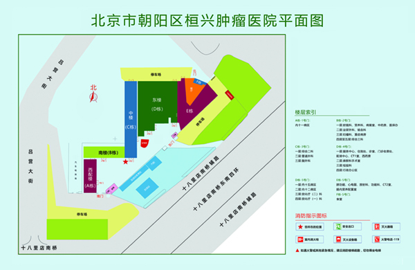 操操网站北京市朝阳区桓兴肿瘤医院平面图